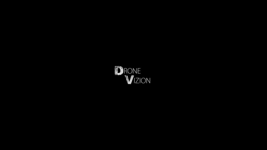logo drone vizion